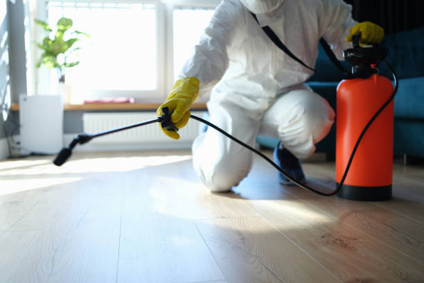Reliable Odor Removal contractor in Euless, TX by Trauma Clean Pros
